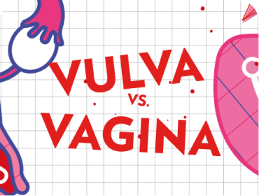 Diferencia entre vulva y vagina